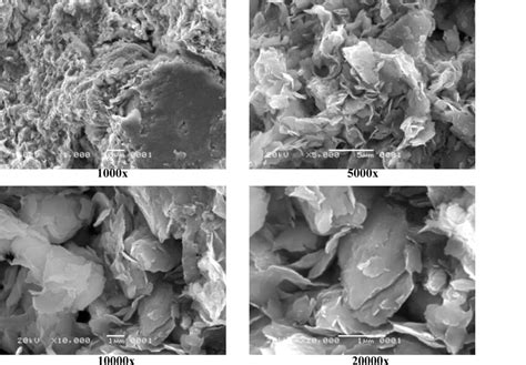 Sem Photographs Show Silica And Alumina Sheets Of The Smectite