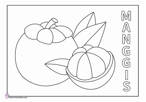 Colored pencil fruit drawing collection images. Gambar Mewarnai Buah: Manggis ~ Semesta Ibu