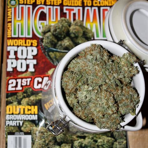 Dr. Green Thumb Cannabis Consultation | Regina SK