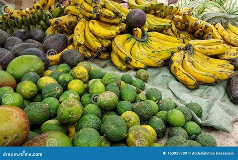 Frutas De Origem Africanas BrasilEduca