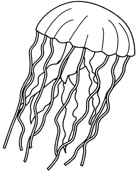 Jellyfish Coloring Page For Children Medusa Printable Image Under The