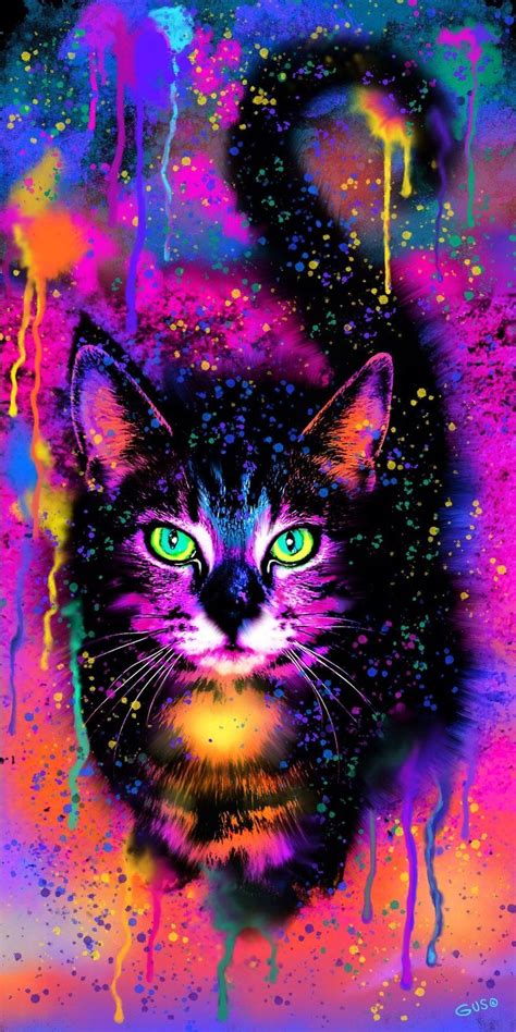 Rainbow Painted Tabby Cat Diamond Painting Kit Full Drill Colorful
