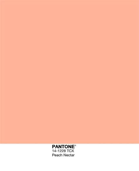 Peach Plain Aesthetic Colors Wallpaper 3mm Or 012 Inch W Color