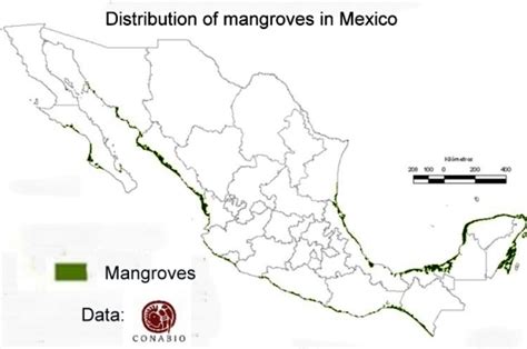 Where Are Mexicos Mangrove Swamps Geo Mexico The Geography Of Mexico