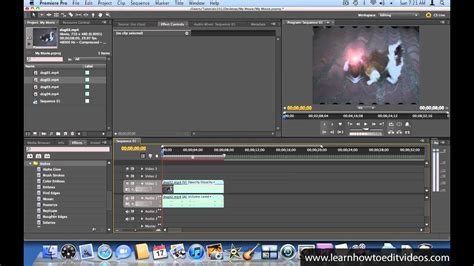 For adobe premiere pro plugin, you may also need to turn on the plugin for each website that you use. Adding Video Effects - Adobe Premiere Pro CS5 Video ...
