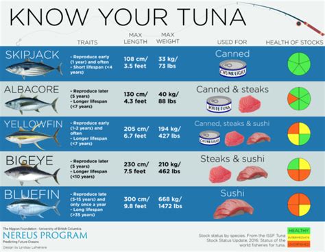 Majority Of Pacific Bluefin Tuna Migrate Across The Ocean Nereus