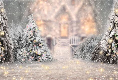 Photography Backdrops Christmas Background Backdrops Snow Forest Bokeh