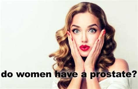 Do Women Have A Prostate Facts You Should Know