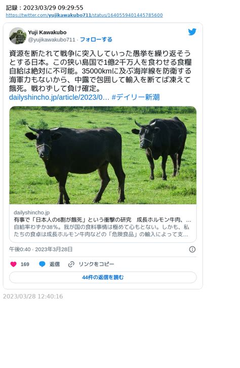 諸葛 均 On Twitter 「体育会系精神論で思考停止。この国は好戦的なくせに絶望的に戦争に向いてません」