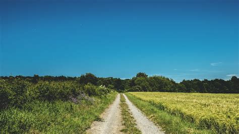 Paved Road In Between Grass Fields · Free Stock Photo