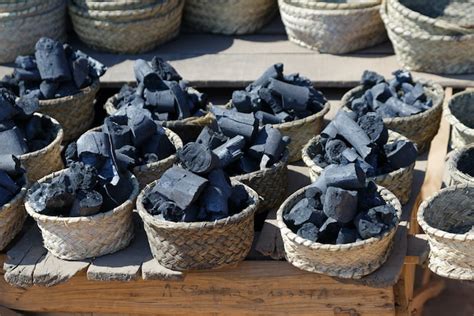 5 Different Types Of Charcoal For A Smoking Hot Food Purposeof