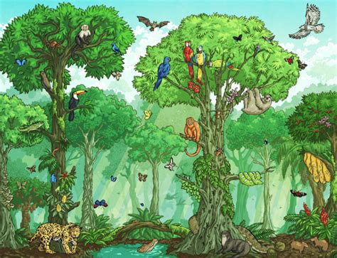 What Are Endangered Rainforest Animals Answered Twinkl Teaching Wiki