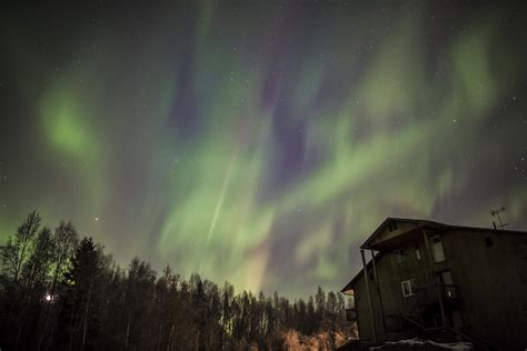 Aurora In Fairbanks Alaska Reinhold Wittich
