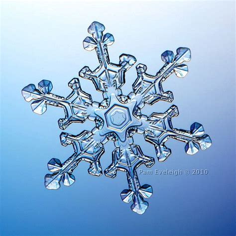 17 Best Images About Water Snowflakes On Pinterest Macro Photo