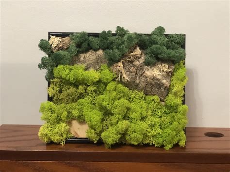 Square Frame Natural Green Moss Design With Moss