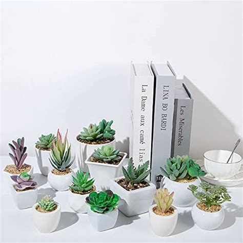 16 Pack Artificial Succulent Plants Unpotted Premium Pack Of Small