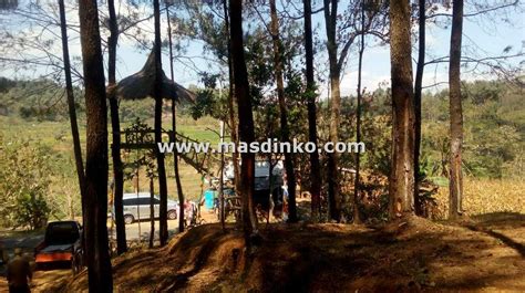 Untuk arah utara, desa setianegara berbatasan dengan desa cibeureum, dan di sebelah barat berbatasan langsung dengan hutan lindung gunung ciremai. Wisata Hutan Pinus Haurgeulis Tempat Wisata Unik ...