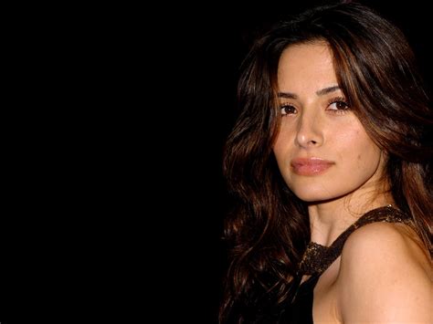 Season 1 by sarah shahi dvd $7.94. My Album: Sarah Shahi - Fairly Legal Actress | Pictures ...