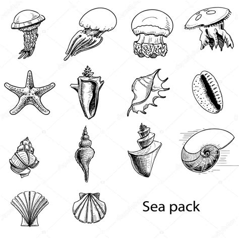 Images Sketch Of Water Animals Collection Of Sea Animals Hand