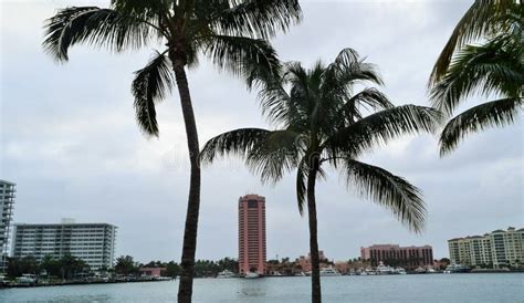 Boca Raton City Skyline With Palm Trees Stock Image Image Of Mansions