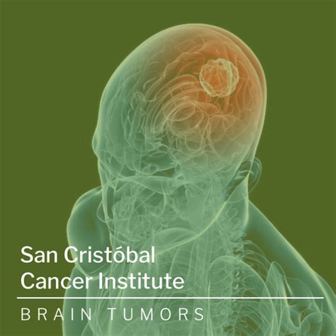 Brain Tumors Facts San Cristóbal Cancer Institute