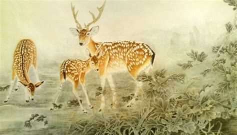 Chinese Deer Painting 0 4461001 66cm X 120cm26〃 X 47〃
