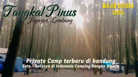 Tangkal Pinus Jayagiri Lembang Tangkal Pinus Campervan Tangkal Pinus Camping 인도네시아캠핑 Youtube