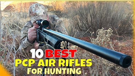 Top 10 Best Pcp Air Rifle For Hunting Youtube