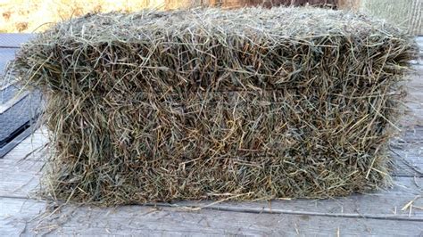 Brome Hay Square Bales Nex Tech Classifieds