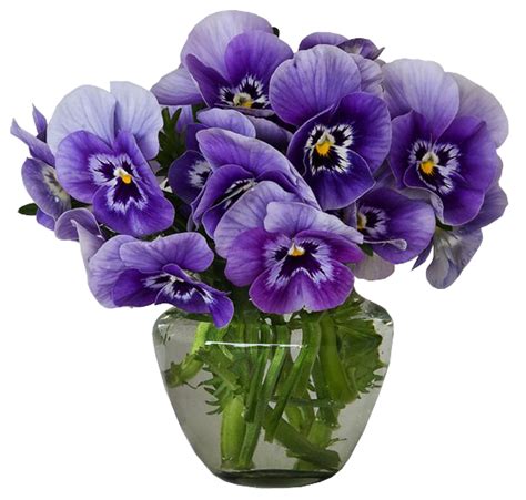 A bouquet of flowers free design resource. Violets Vase Bouquet Clipart | Gallery Yopriceville - High ...