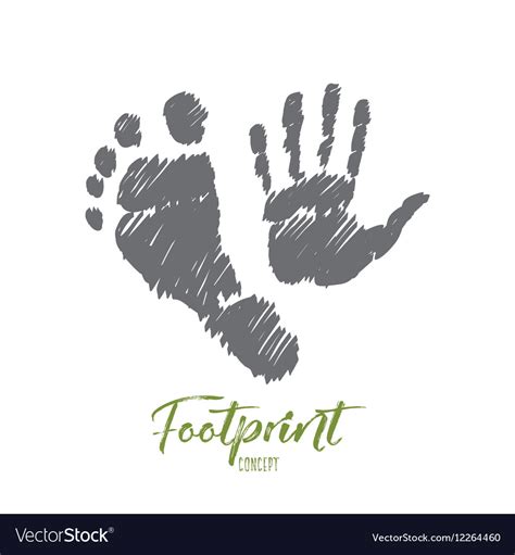 Hand Drawn Footprint And Handprint With Lettering Vector Image