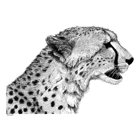 As well as an endless source of inspiration, and meaningful conversations. Animal Series - Great Collection ~ Sathish's Gallery ...