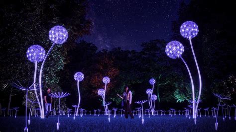 Did you scroll all this way to get facts about fairchild garden? 'NightGarden' is lighting up Fairchild Tropical Botanic ...