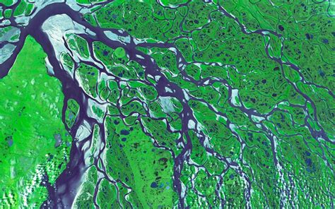 The Lena Delta In Russia Picture Spl Barcroft Media Satellite