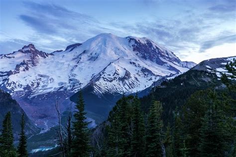 Just After Sunset Mt Rainier National Park Stock Photo Image Of