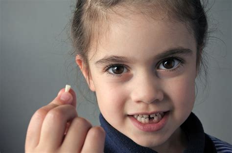 Do Toddlers Lose All Their Baby Teeth Teethwalls