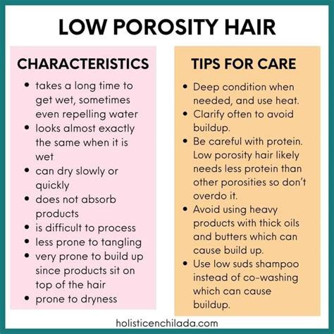 Shampoo For Low Porosity Hair Your Ultimate Guide The 10 Best Shampoos