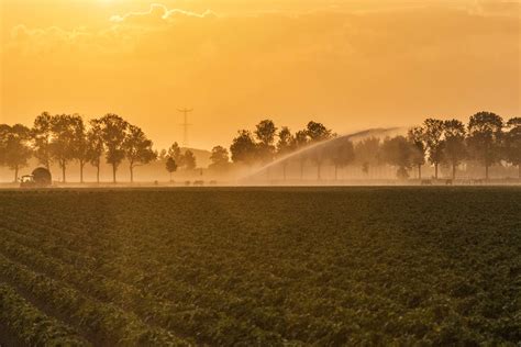 Free Picture Landscape Dawn Fog Sunrise Silhouette Agriculture