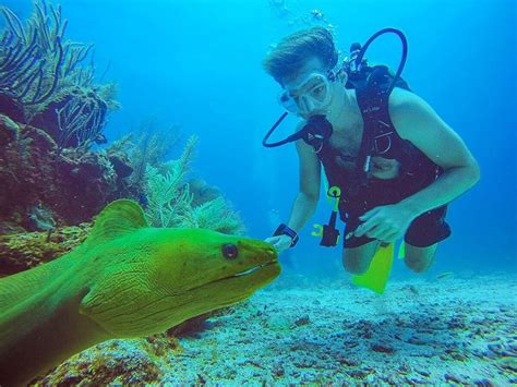 Local Scuba Diving - 2 Tank Dive - Belize Pro Dive Center