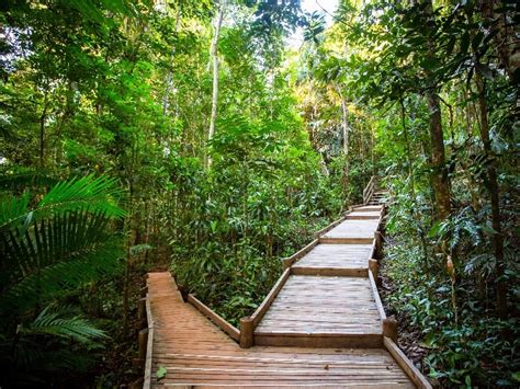 10 Of The Worlds Most Beautiful Rainforests Tripstodiscover