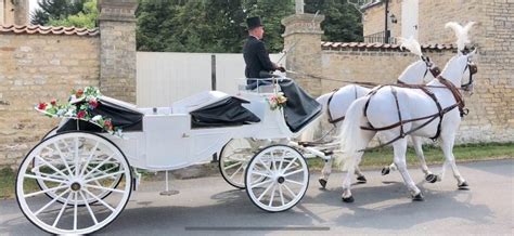 Contact Us Horse And Carriage Hire The Ostler