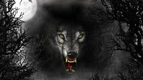 Hd Demon Wolf Pictures