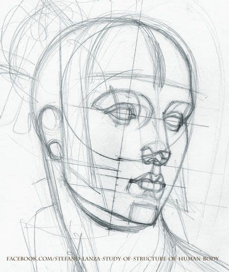 So what have i been up recently ? Head Anatomy Drawing at GetDrawings | Free download