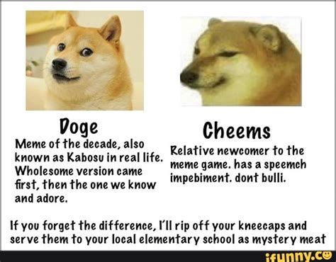 Doge Cheems Meme Of The Decade Also Known As Kabosu In Real Life