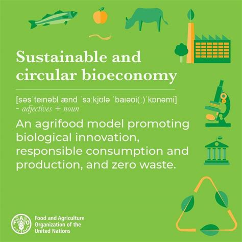 Sustainable And Circular Bioeconomy For Food Systems Transformation
