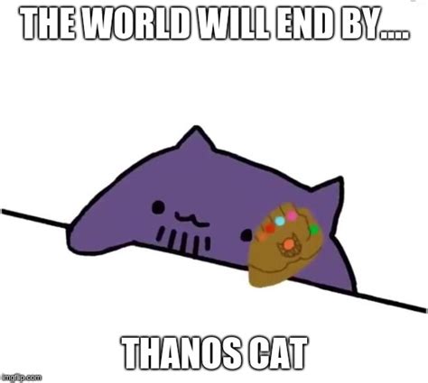 Image Tagged In Thanos Cat Imgflip