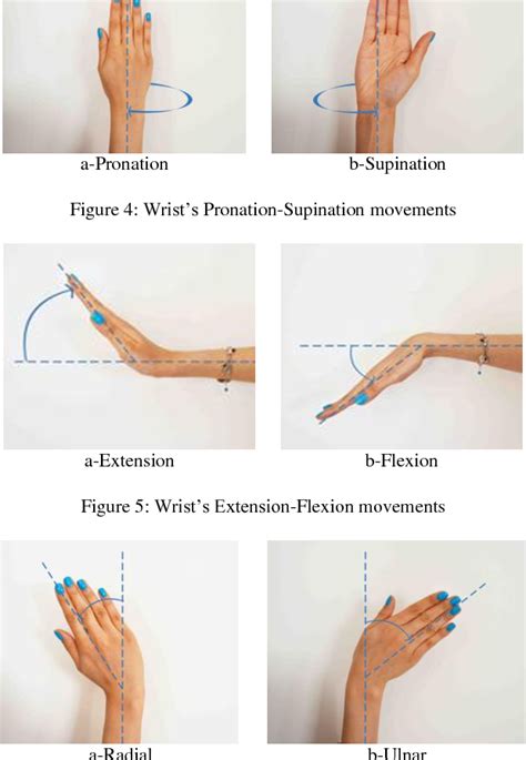 Figure 1 From Monitoring Human Wrist Rotation In Three Degrees Of