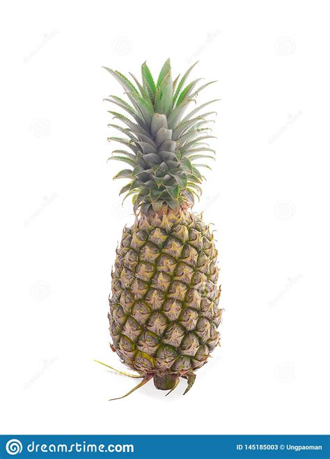 Single Whole Pineapple Isolated On White Background Stock Image Image