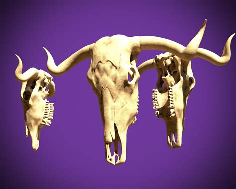 Bull Skull 3dprinting 3d Printable Model Cgtrader