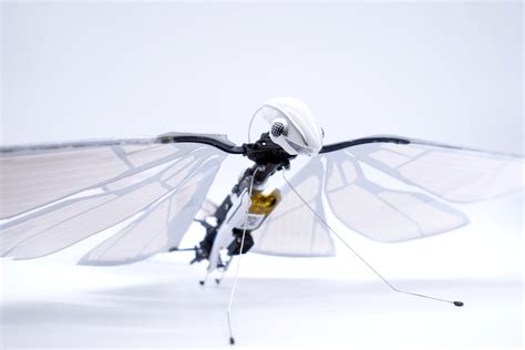 This Is A Biomimetic Drone Based On 5 Decades Of Flight Research On
